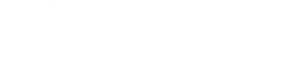 Orion Logo